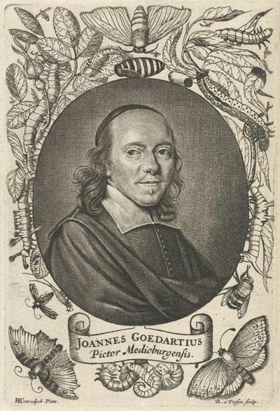 Johannes Goedaert (1617-1668) of Middelburg by Reinier van Persijn